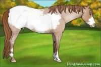 Horse Color:Brown Roan Pearl Frame Snowcap 