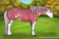 Horse Color:Silver Buckskin Dun Sabino