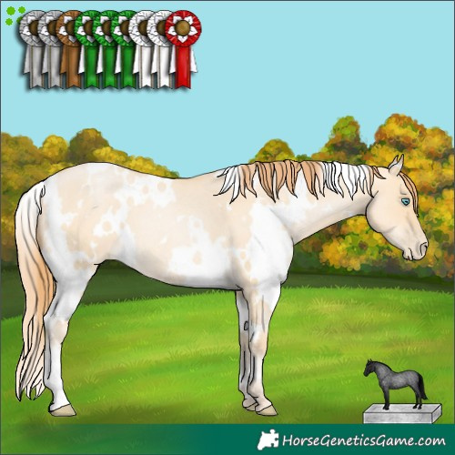 Horse Color:White Spotted Buckskin Roan Pearl Dun