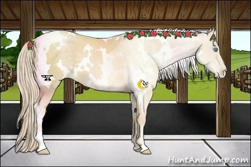 Horse Color:White Spotted Palomino Pearl