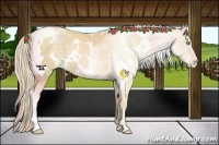 Horse Color:White Spotted Palomino Pearl 