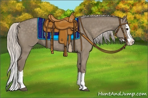 Horse Color:Silver Grullo Splash