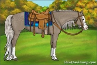 Horse Color:Silver Grullo Splash 