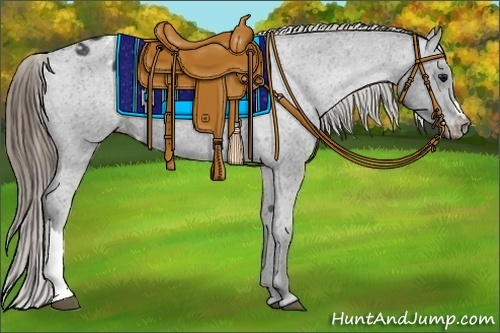 Horse Color:Smoky Black Appaloosa 