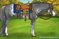 Horse Color:White Spotted Black Appaloosa