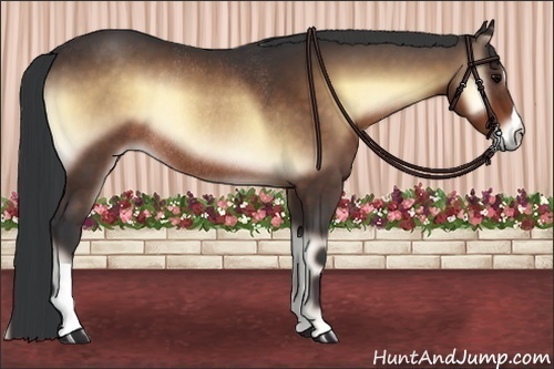 Horse Color:Brown Onyx Rabicano 