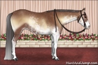 Horse Color:Buckskin Onyx Sabino Rabicano 
