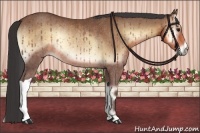 Horse Color:Buckskin Onyx Rabicano 