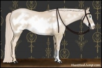 Horse Color:Palomino Pearl Frame 