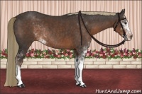 Horse Color:Liver Chestnut Sabino Rabicano