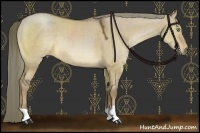 Horse Color:Liver Red Dun 