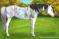 Horse Color:Black Ice Splash 