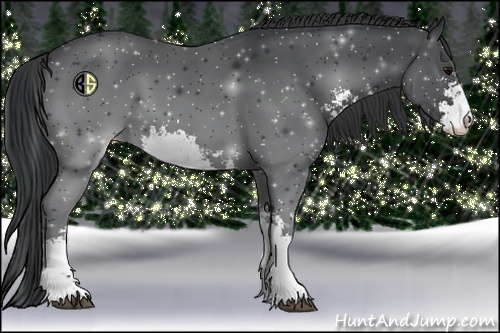 Horse Color:Black Sabino 