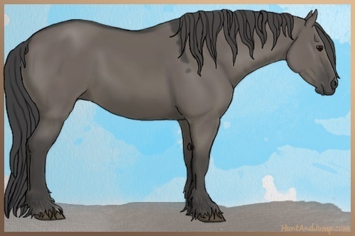 Horse Color:Smoky Grullo 