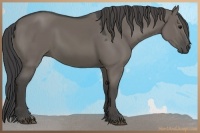 Horse Color:Smoky Grullo 