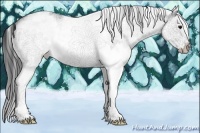 Horse Color:White Spotted Blue Ice Roan Splash 