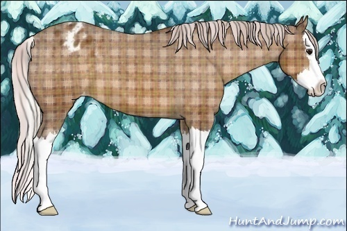 Horse Color:Plaid Silver Brown Sabino Splash Varnish