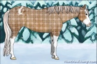 Horse Color:Plaid  Silver Brown Sabino Splash Appaloosa 