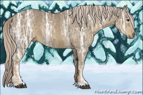 Horse Color:Chocolate Palomino Ice 
