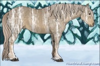 Horse Color:Chocolate Palomino Ice 