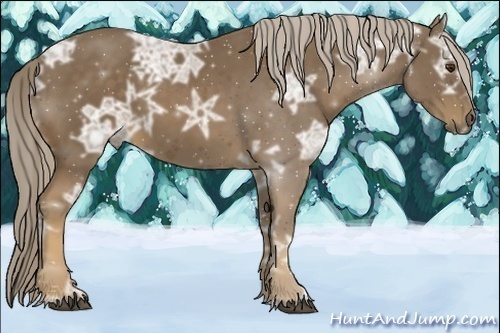 Horse Color:Chocolate Palomino Ice 