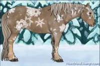 Horse Color:Chocolate Palomino Ice
