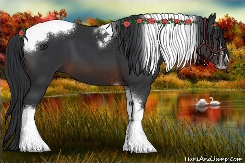 Horse Color:Brown Tobiano Frame 