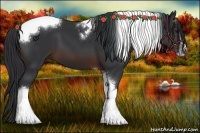 Horse Color:Brown Tobiano Frame 