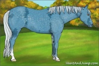 Horse Color:Watercolor Silver Black Chinchilla Ice Sabino