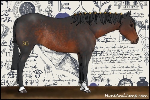 Horse Color:Brown Sabino Rabicano