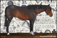 Horse Color:Brown Sabino Rabicano 
