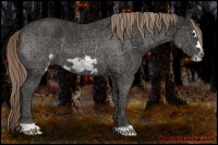 Horse Color:Liver Chestnut Frame 