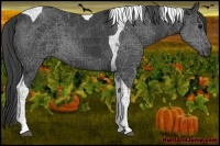 Horse Color:Black Tobiano 