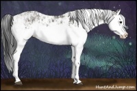 Horse Color:Grullo Sabino Splash  and Grullo Sabino Splash 