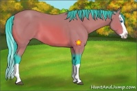 Horse Color:Watercolor Bay Splash