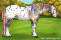 Horse Color:Painted White Spotted Silver Blue Onyx Splash Appaloosa 