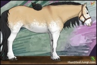Horse Color:White Spotted Bay Dun 