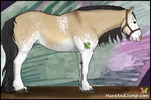 Horse Color:White Spotted Bay Dun 