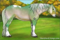 Horse Color:Watercolor Silver Brown Onyx Tobiano