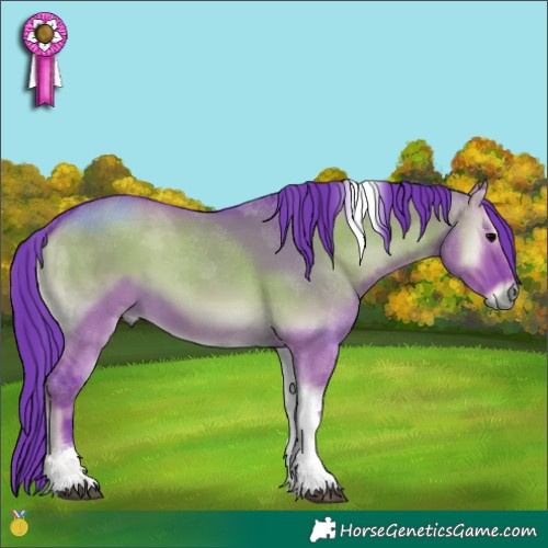 Horse Color:Watercolor Grullo Onyx Tobiano 