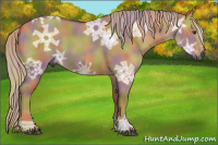 Horse Color:Gray Nacre Palomino Ice Dun 