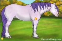 Horse Color:Watercolor Amber Cream Champagne Onyx 