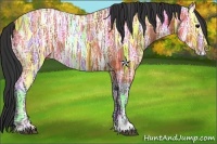Horse Color:Bay Ice 