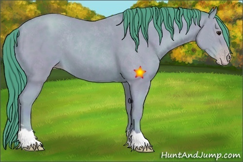 Horse Color:Watercolor Classic Champagne 