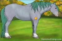 Horse Color:Watercolor Classic Champagne 