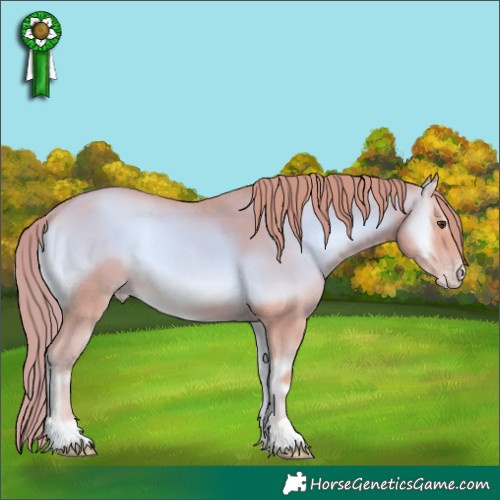 Horse Color:Watercolor Gold Champagne Onyx