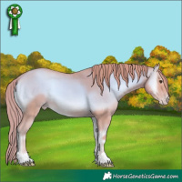 Horse Color:Watercolor Gold Champagne Onyx 