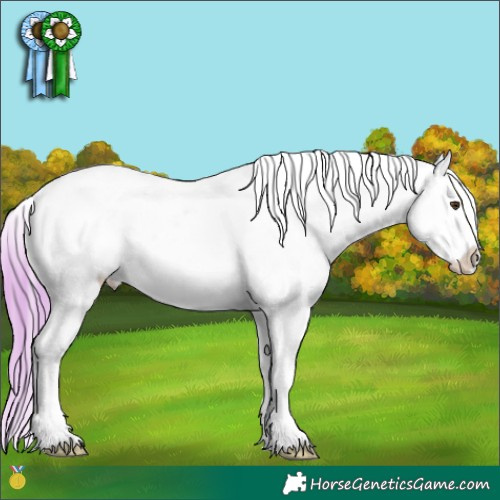 Horse Color:Watercolor Classic Champagne Appaloosa 