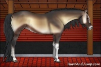 Horse Color:Brown Onyx 