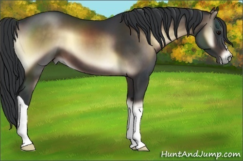 Horse Color:Brown Onyx 